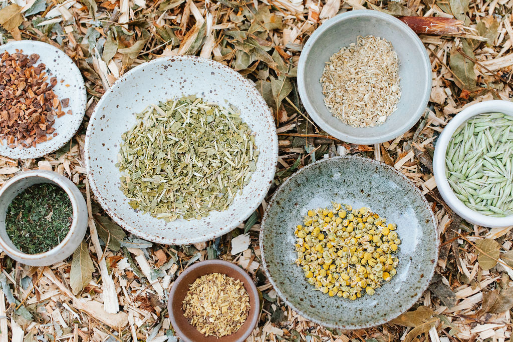 Natural herbs used to make EllyPop freezer pops in Portland, Oregon